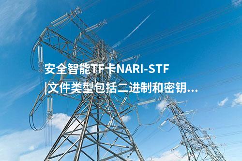 安全智能TF卡NARI-STF|文件类型包括二进制和密钥文件