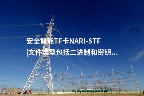 安全智能TF卡NARI-STF|文件类型包括二进制和密钥文件