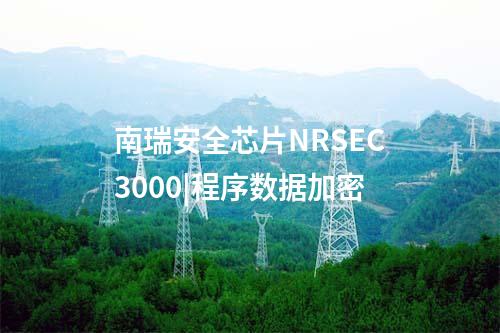 南瑞安全芯片NRSEC3000|程序数据加密