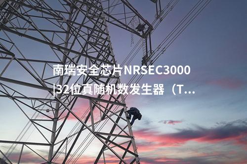 南瑞安全芯片NRSEC3000|32位真随机数发生器（TRNG）