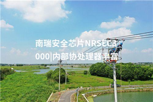 南瑞安全芯片NRSEC3000|内部协处理器丰富