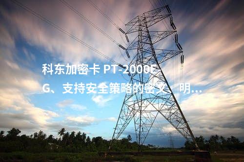 科东加密卡 PT-2000E-G、支持安全策略的密文、明文和选择性加密功能