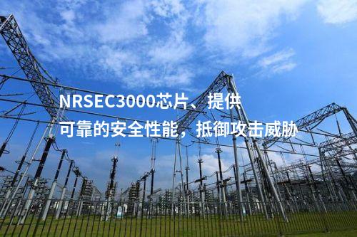 NRSEC3000芯片、提供可靠的安全性能，抵御攻击威胁