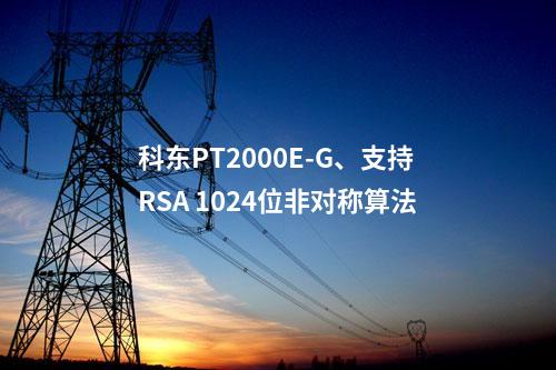 科东PT2000E-G、支持RSA 1024位非对称算法