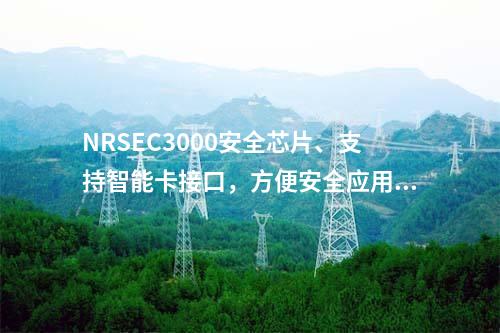 NRSEC3000安全芯片、支持智能卡接口，方便安全应用集成