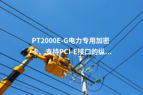 PT2000E-G电力专用加密卡、支持PCI-E接口的纵向加密认证卡