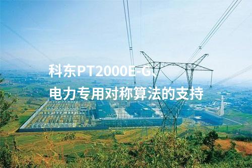 科东PT2000E-G、电力专用对称算法的支持