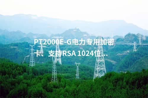 PT2000E-G电力专用加密卡、支持RSA 1024位非对称算法和电力专用对称算法