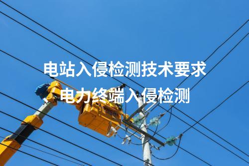 电站入侵检测技术要求、电力终端入侵检测