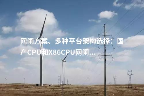 网闸方案、多种平台架构选择：国产CPU和X86CPU网闸型号