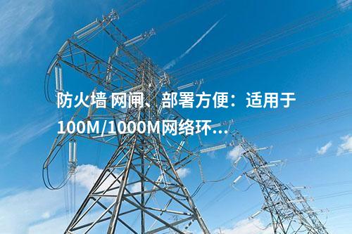 防火墙 网闸、部署方便：适用于100M/1000M网络环境的网闸