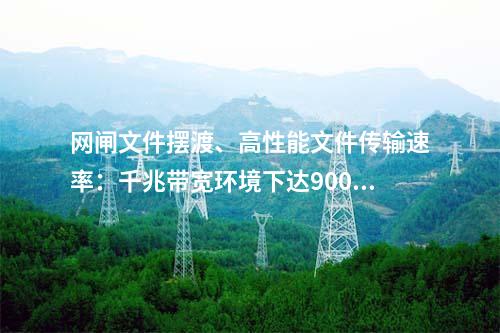 网闸文件摆渡、高性能文件传输速率：千兆带宽环境下达900Mbps以上