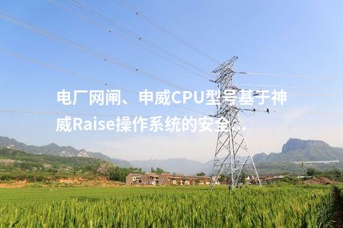 电厂网闸、申威CPU型号基于神威Raise操作系统的安全性保护