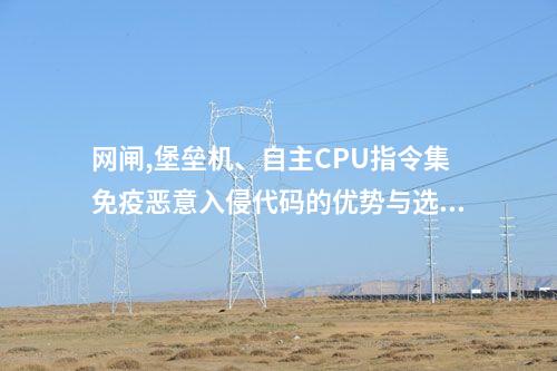 网闸,堡垒机、自主CPU指令集免疫恶意入侵代码的优势与选择