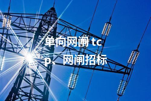 单向网闸 tcp、网闸招标