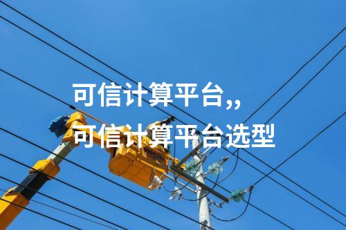 可信计算平台,,可信计算平台选型