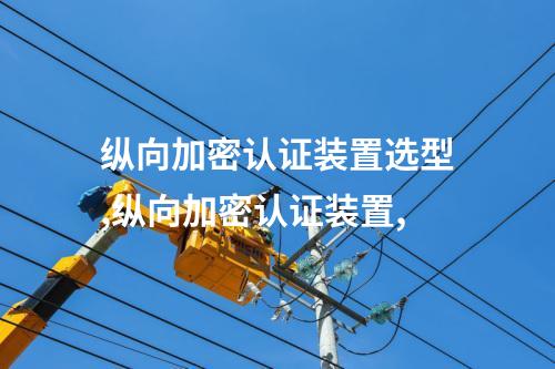 纵向加密认证装置选型,纵向加密认证装置,