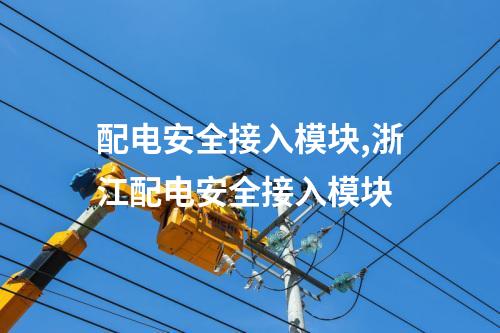 配电安全接入模块,浙江配电安全接入模块